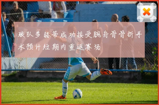 狼队多赫蒂成功接受腕舟骨骨折手术预计短期内重返赛场