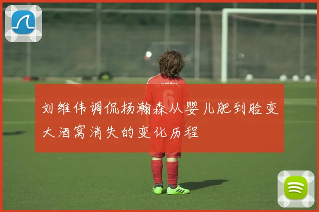 刘维伟调侃杨瀚森从婴儿肥到脸变大酒窝消失的变化历程