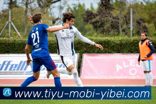 易倍体育平台生态图