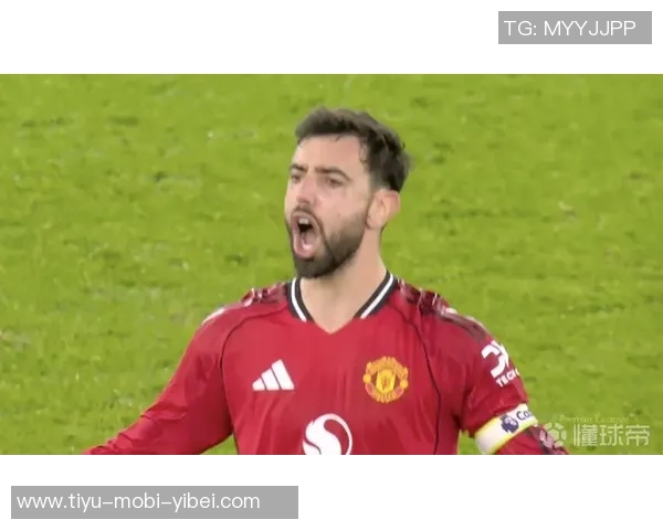 英超近六赛季B费五度成为创造机会王者的传奇表现 英超近六赛季B费五度成为创造机会王者的传奇表现